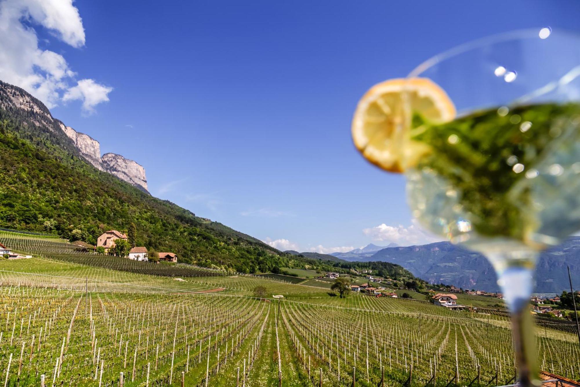 Das Matscher Residence & Garden Hotel Appiano Sulla Strada Del Vino Ngoại thất bức ảnh