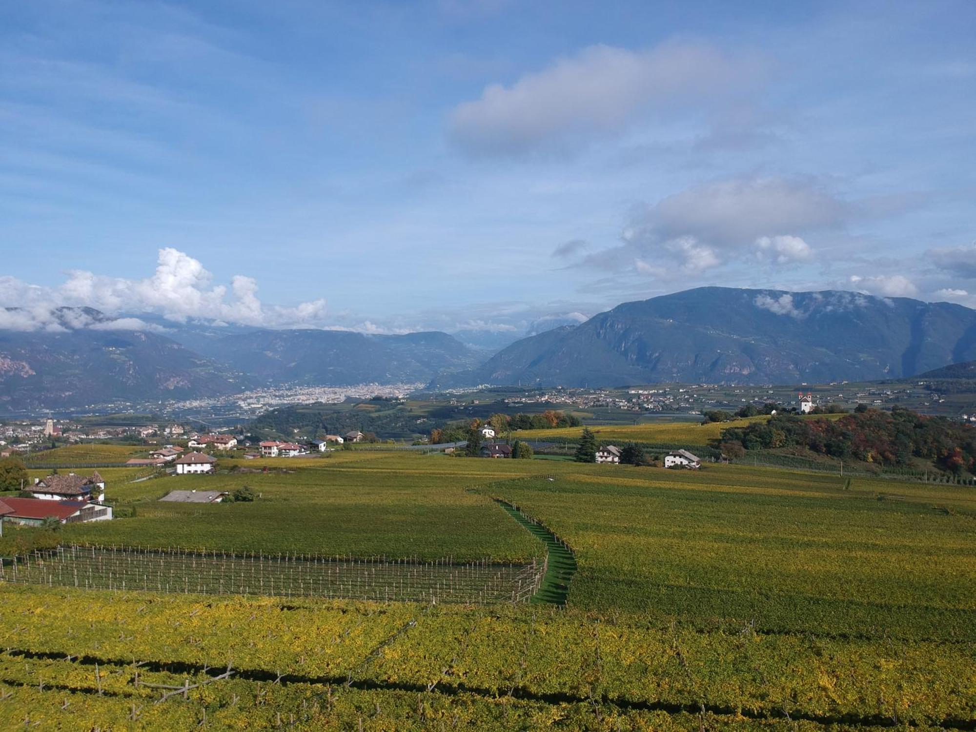 Das Matscher Residence & Garden Hotel Appiano Sulla Strada Del Vino Ngoại thất bức ảnh
